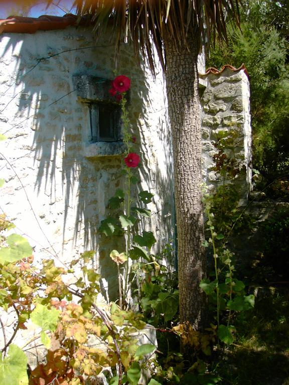 מלון Thairé Les Jardins Saint Leonard מראה חיצוני תמונה